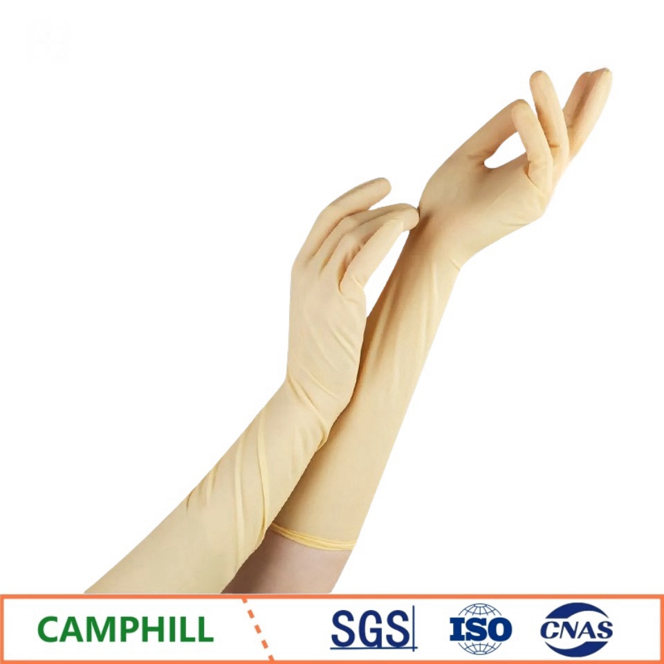 Einweg-Latexhandschuhe 20 Zoll – Medical Gloves Bewertung und Preis