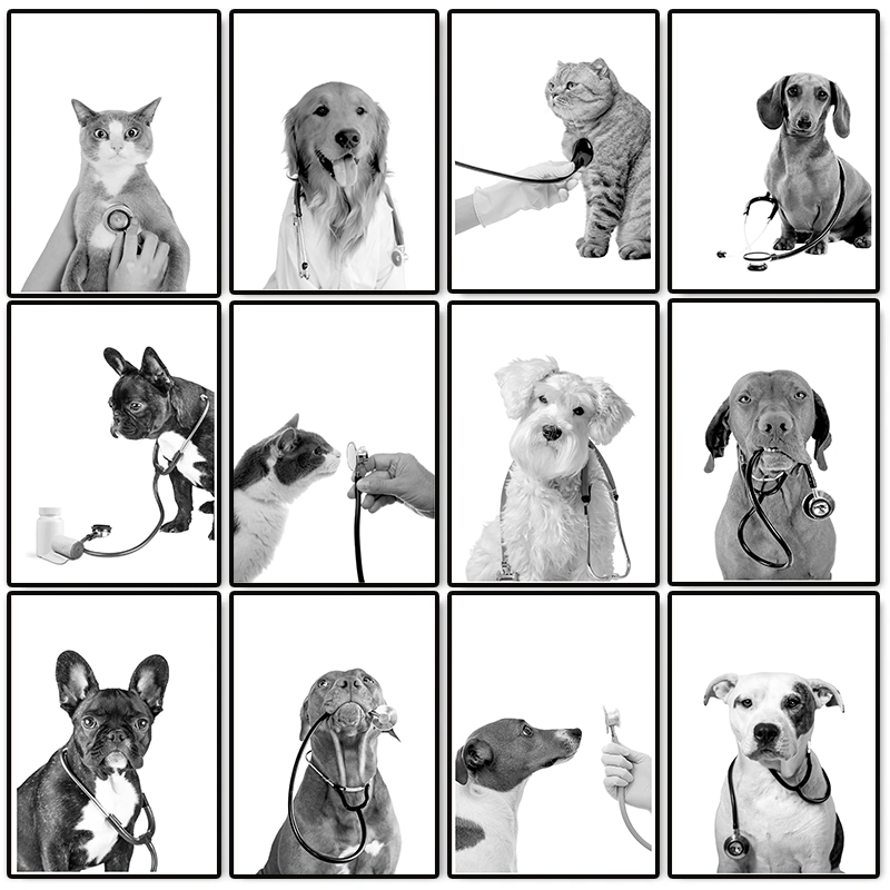 Tierarzt Veterinärmedizin Post – Stethoscope Bewertung und Preis