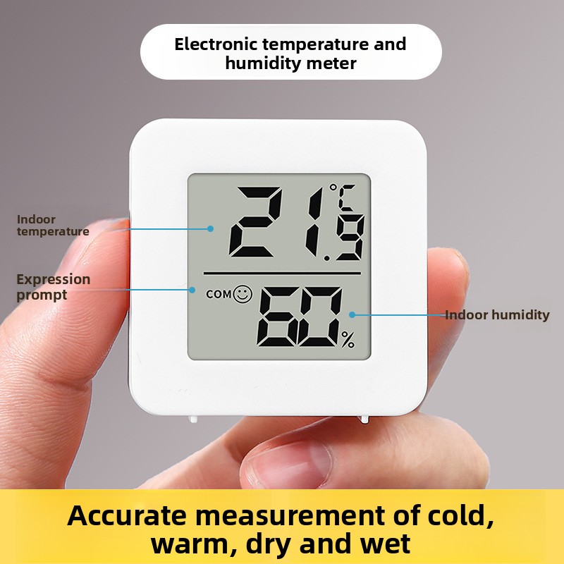 Intelligentes digitales Thermo – Thermometer Digital Bewertung und Preis